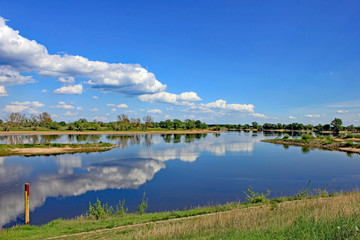 Elbtalaue bei Damnatz (Niedersachsen)