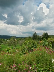 stormy clouds over green forest in summer season