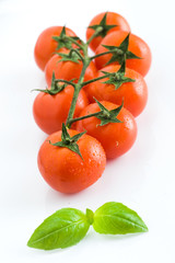 Tomato, basil, Vegan diet food, creative cherry tomato composition isolated on white. Fresh basil, tomatoes, cooking concept,