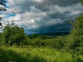 Obraz premium stormy clouds over green forest in summer season
