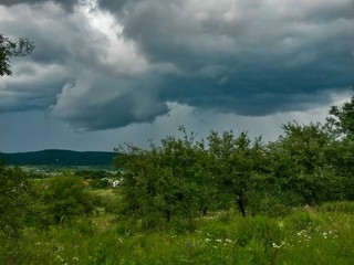 stormy clouds over green forest in summer season