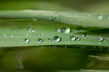 Acqua gocce in macro