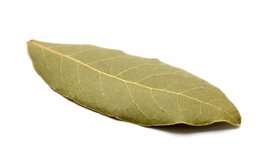Single dried bay leaf on white background.