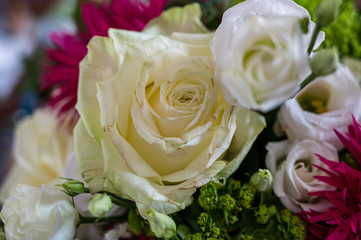 A closeup view of a bouquet with white roses, pink aster alpinus, and green spider mum flowers