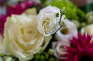 A closeup view of a bouquet with white roses, pink aster alpinus, and green spider mum flowers