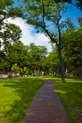 Shady city alley. Cobblestone path among the trees.
