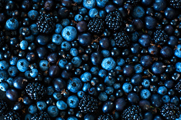 Mix set layout of different types of black berries on a black table. Stylish seasonal vitamins
