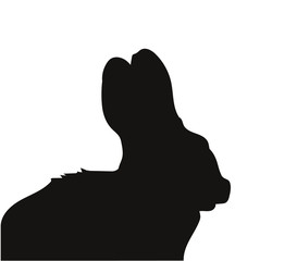 rabbit portrait vector illustration, silhouette drawing, vector