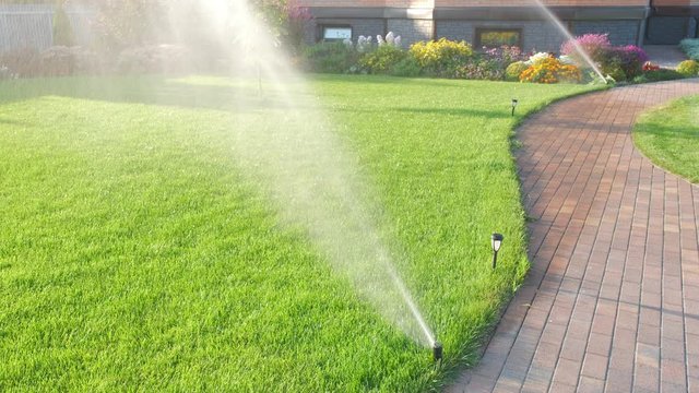 Sprinkler watering lush green grass and flowers on a sunny day. A winding path lined with paving stones in the foreground. Automatic watering in the backyard of the house. Water jets