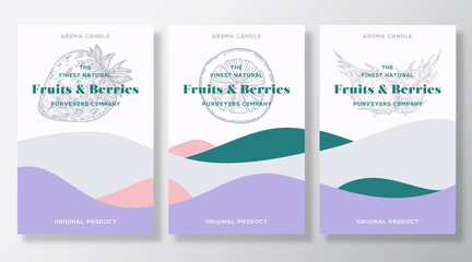 Aroma candle vector labels template set. Citrus and berries scent from local purveyors advert design. Sketch background layouts with abstract waves decor. Natural smell product package text space