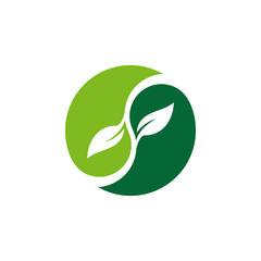 Fototapeta premium Leaf logo vector design template