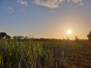 sun, field, farm and Sky. beautiful Nature landscapes