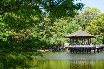 Obraz premium 奈良県奈良市「奈良公園 浮見堂」の新緑