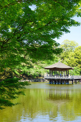 Fototapeta na wymiar 奈良県奈良市「奈良公園 浮見堂」の新緑