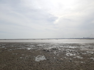 Beach, Sea And Sky View. Dummash Beach In Surat, Gujarat, India.