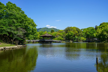 奈良県奈良市「奈良公園 浮見堂の新緑」