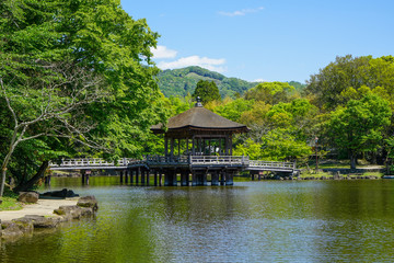 奈良県奈良市「奈良公園 浮見堂の新緑」