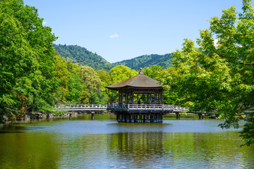 Obraz premium 奈良県奈良市「奈良公園 浮見堂の新緑」