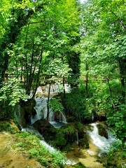 waterfall in the forest