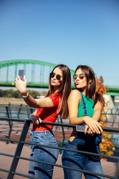 Smiling young best female friends taking selfie in the park