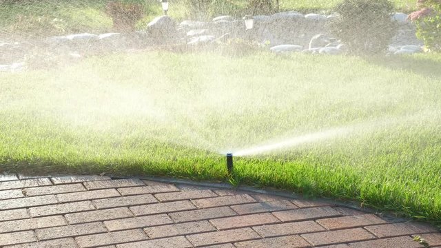 A sprinkler pours juicy green grass on a bright sunny day. Cobbles in the foreground. Automatic watering in the park. Water jets.