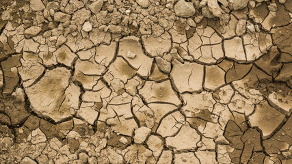 Die Trockenheit bildet Strukturen  im Erdboden