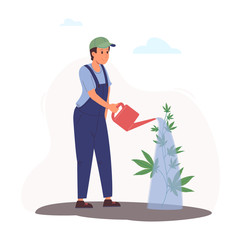 A worker pours hemp bush from a watering can. Indica, Sativa, thc. Organic marijuana, good for health is used for medical purposes and recreation.Vector illustration of growing hemp outdoors on a farm