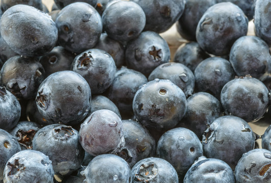 Natural looking blueberries. Selective focus.