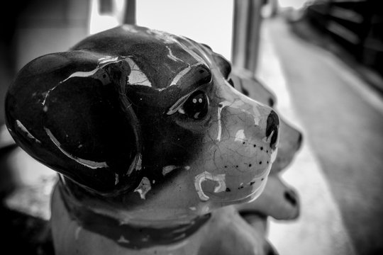 Three dogs.
Black and white close up picture on china (porcelain) dogs in the street. The background is blurred intentionally.
