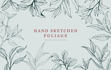 Hand Sketched Botanical Plants Foliage Vector Illustration