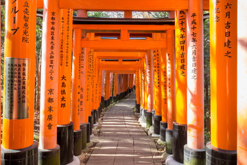 Fototapeta premium Fushimi Iniari Shrine in Kyoto, Japan