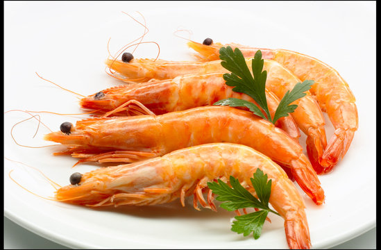 langostinos cocidos