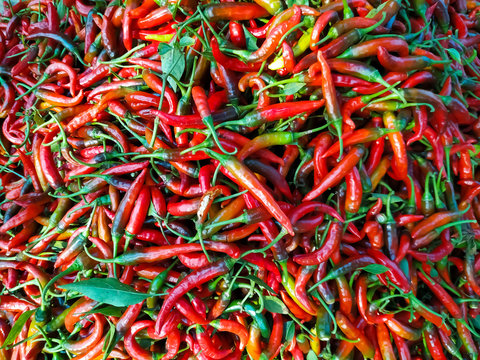 red hot chili pappers natural organic © Naimodin Miya Dhobi