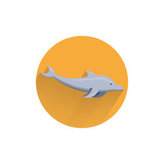 Dolphin colorful flat icon with long shadow. Dolphin flat icon