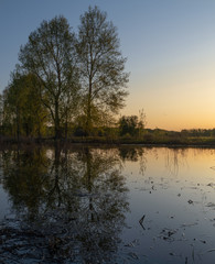 Obraz premium Dawn over the lake. Beautiful evening blue sky at sunset with flaming bright light clouds. Warm summer evening at sunset. May.