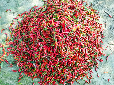 red hot chili pappers natural organic