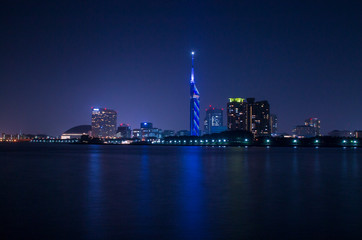 Fototapeta na wymiar 夜景 福岡タワーと街並み
