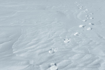 footprints in snow