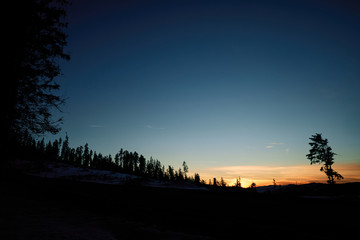 Sunrise/sunset with bloody sun and deep blue sky with forest silhouette in the foreground.
