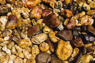 Flat shiny stones on the beach in Lipe. Thailand