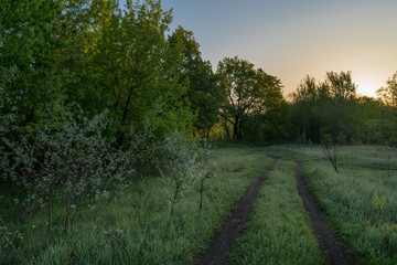 Early spring. Morning dawn over the lake in a misty, thoughtful haze. Beautiful view of the forest covered with fog early in the morning. The sun's rays of light. May.