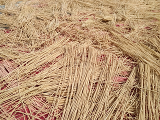 Wheat flour macaroni closed on full texture background