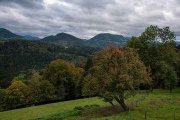 Obraz premium Blick ins Tal