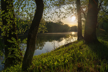 Obraz premium Early spring. Morning dawn over the lake in a misty, thoughtful haze. Beautiful view of the forest covered with fog early in the morning. The sun's rays of light. May.