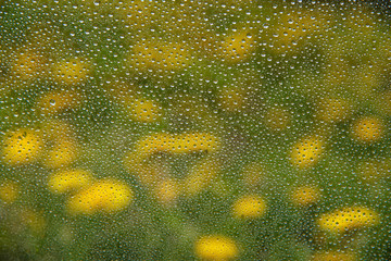 Water drops on window and rural landscape.