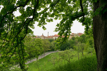 Rund um Rothenburg ob der Tauber gibt es zahlreiche Wanderwege. Von hier kann man einen traumhaften Blick auf die Skyline der Stadt werfen und die Natur des Tauberthals genießen. 