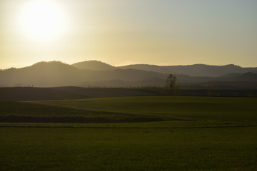 Fototapeta na wymiar 美瑛　留辺蘂の丘と夕陽