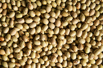 Texture of yellow beans