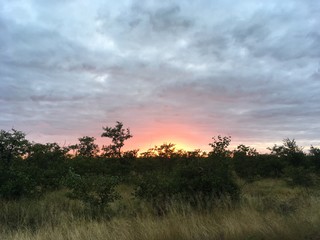 Naklejka premium bushveld sunrise