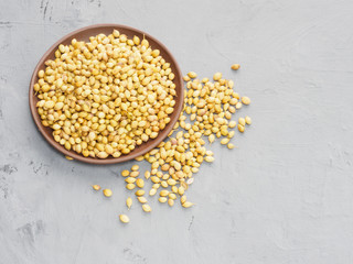Spice coriander (Coriandrum sativum) seeds in clay plate on gray concrete background. Diet and weight loss concept